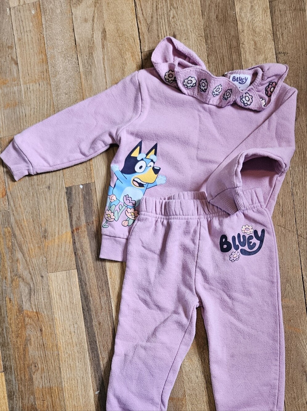 Bluey Lavender Pink Girls Sweatshirt with Floral Embroidery